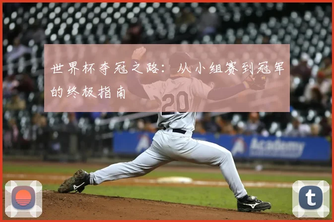 世界杯夺冠之路：从小组赛到冠军的终极指南