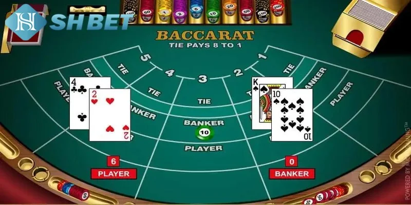 Mẹo bắt cầu Baccarat hiệu quả dành cho người chơi