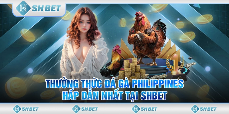 Thưởng Thức Đá Gà Philippines Hấp Dẫn Nhất Tại SHBET