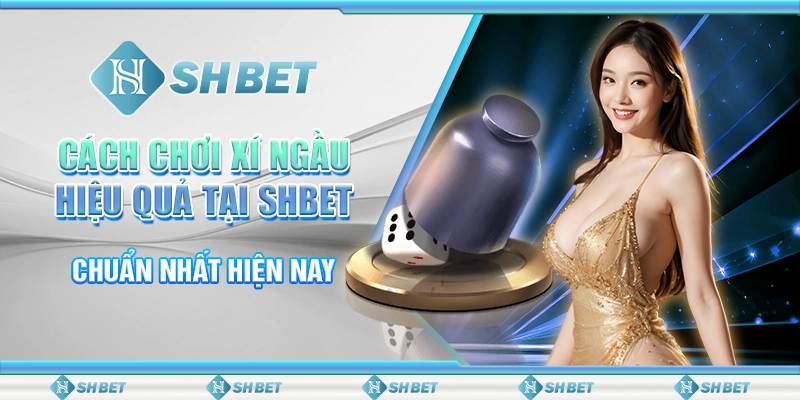 Cách Chơi Xí Ngầu Hiệu Quả Tại SHBET Chuẩn Nhất Hiện Nay