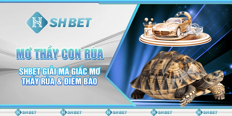 Mơ Thấy Con Rùa - SHBET Giải Mã Giấc Mơ Thấy Rùa & Điềm Báo