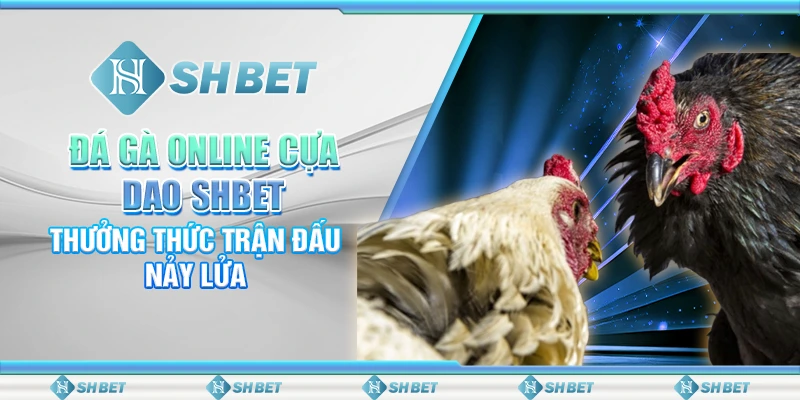 Đá Gà Online Cựa Dao SHBET - Thưởng Thức Trận Đấu Nảy Lửa