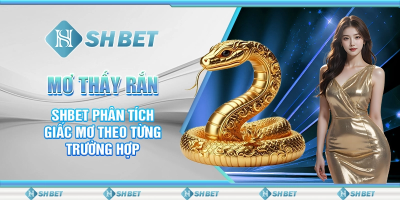 Mơ Thấy Rắn - SHBET Phân Tích Giấc Mơ Theo Từng Trường Hợp