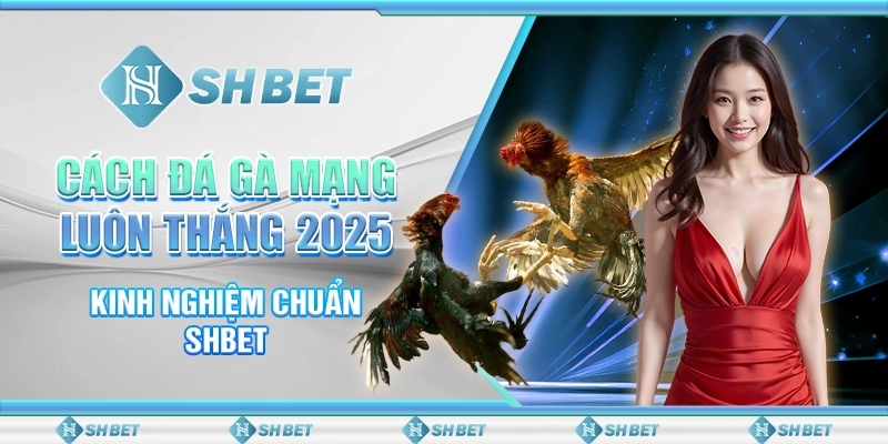 Cách Đá Gà Mạng Luôn Thắng 2025 - Kinh Nghiệm Chuẩn SHBET