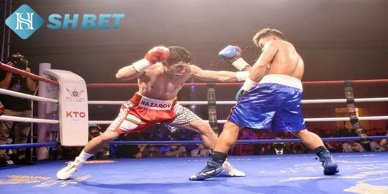 Bí quyết thắng lớn khi cá cược boxing tại SHBET