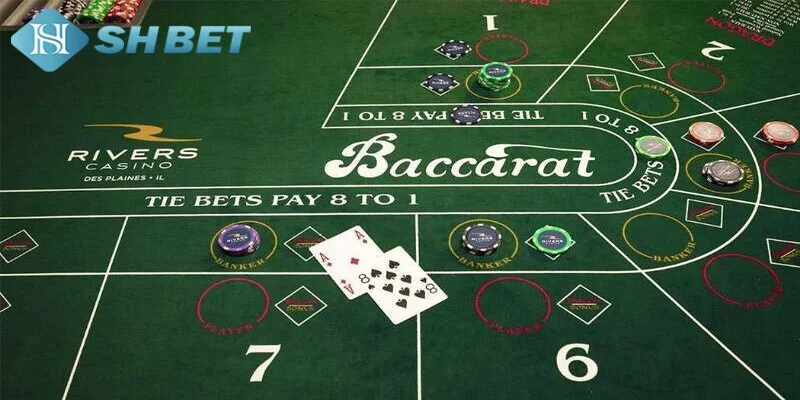 Những chiến thuật đọc vị bài tie baccarat hiệu quả