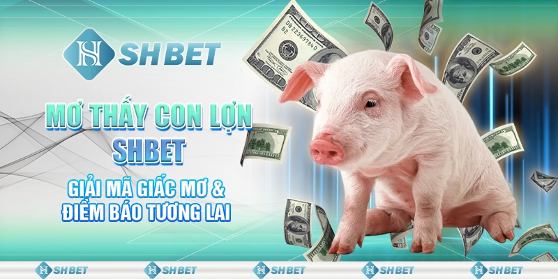 Mơ Thấy Con Lợn SHBET - Giải Mã Giấc Mơ & Điềm Báo Tương Lai