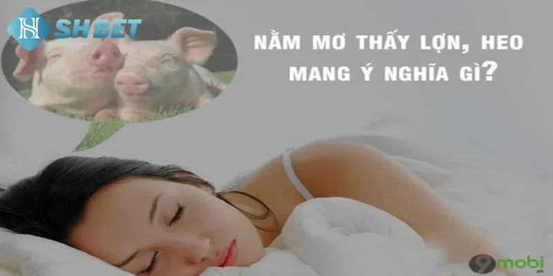 Những trường hợp mơ thấy con lợn và cách luận giải